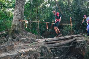 BIB: 
                            <button type="button" onclick="openModal(27747287)" class="btn btn-primary btn-sm float-right btn-popup" data-toggle="modal" data-target=".modal-high-quality">
                        <i class="fas fa-shopping-cart"></i> Add to Cart
                    </button>
                                            <button type="button" onclick="isThisMe(27747287, true)" class="btn btn-success btn-sm float-right btn-popup btn-isme hidden" data-toggle="tooltip" data-placement="bottom" title="นี่คือรูปของคุณใช่ไหม คลิกที่นี่เพื่อเอาเข้าอัลบั้ม">
                        <i class="fas fa-plus"></i> Add to album
                    </button>
                    <button type="button" onclick="isThisMe(27747287, false)" class="btn btn-warning btn-sm float-right btn-popup btn-isnotme hidden">
                        <i class="fas fa-ban"></i> Remove from album
                    </button>